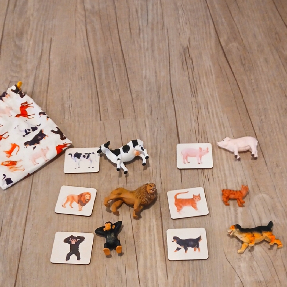 LOVEVERY Animal Figurine Set with Matching Cards